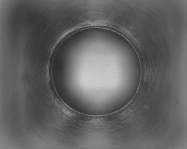 X0000076371174200610061050