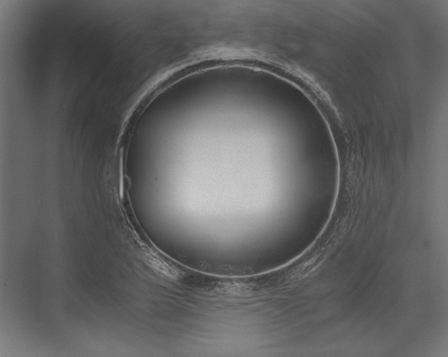 X0000076371175200610061050
