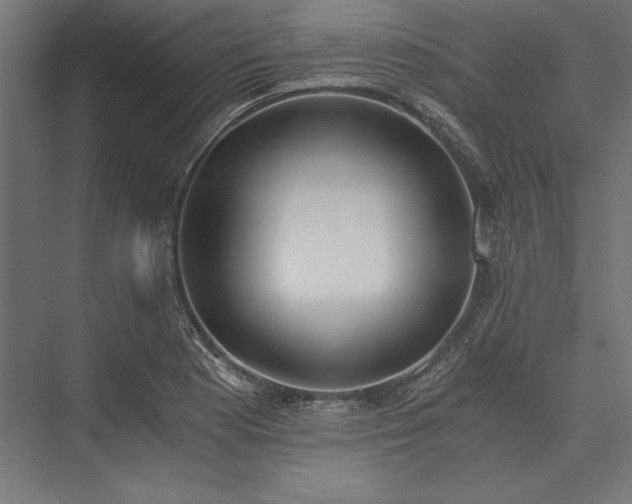 X0000076371177200610061050