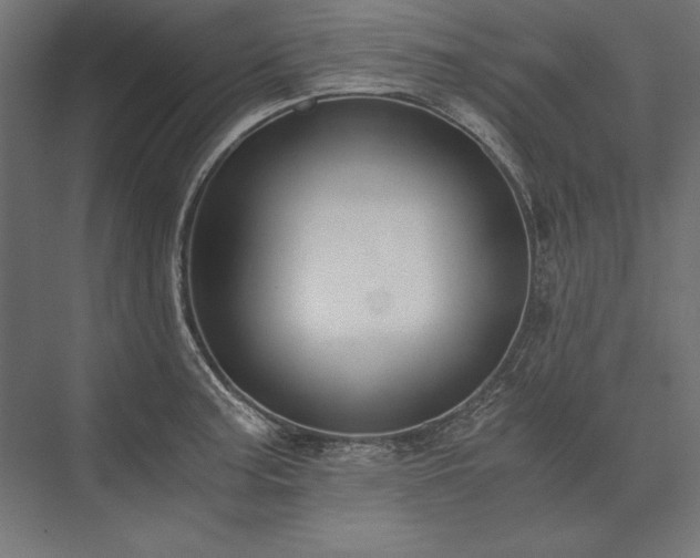 X0000076371187200610061050