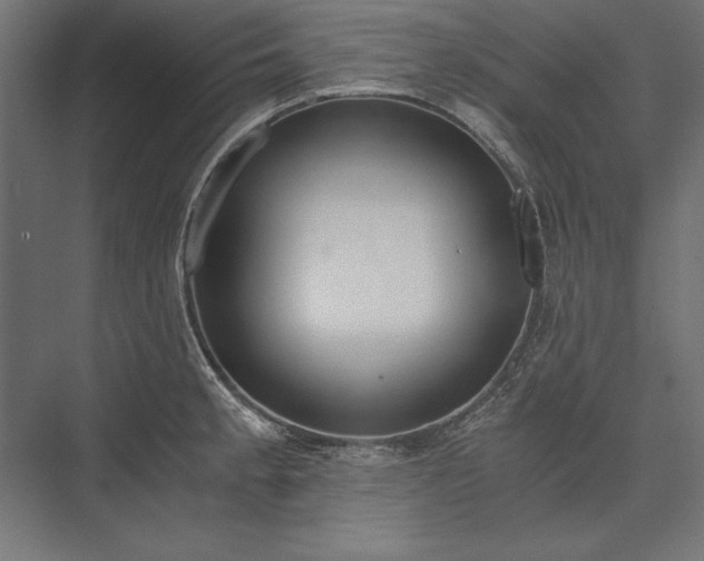 X0000076371189200610061050