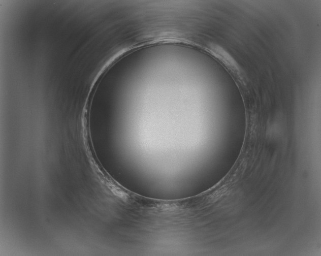 X0000076371190200610061050