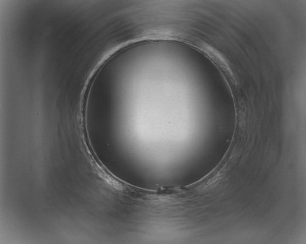 X0000076371192200610061050