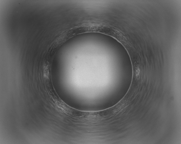 X0000076371204200610061049