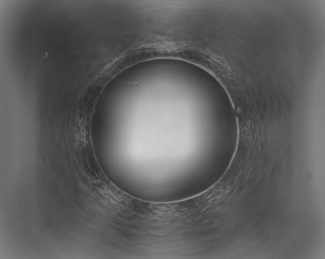 X0000076371205200610061049