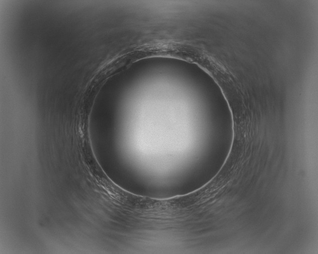X0000076371206200610061049