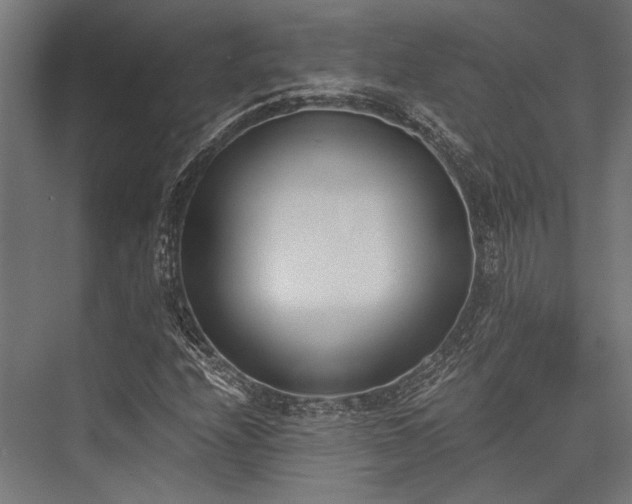 X0000076371208200610061049
