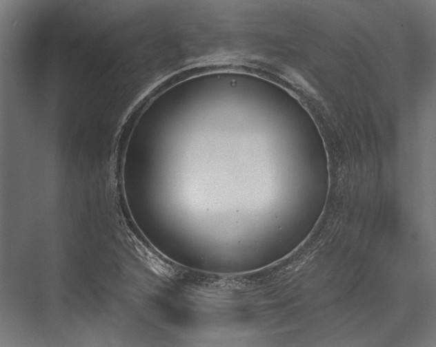 X0000076371216200610061049