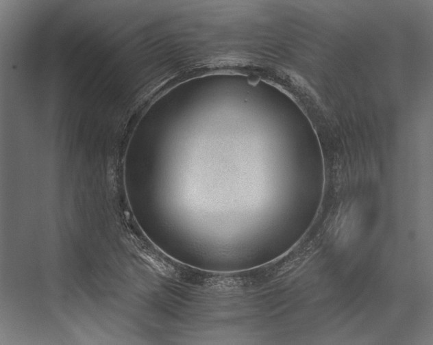 X0000076371217200610061049