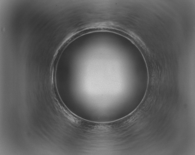 X0000076371224200610061050