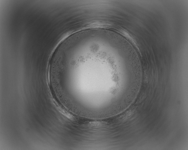 X0000076371227200610061050