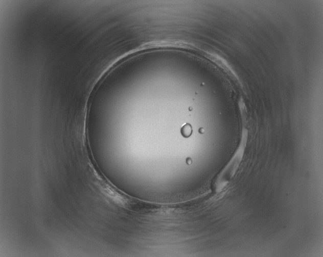 X0000076371228200610061050