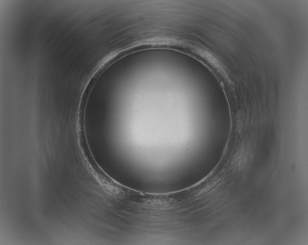 X0000076371229200610061050