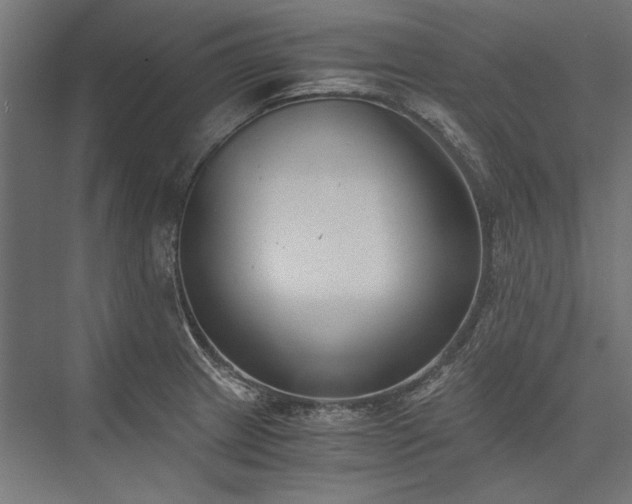 X0000076371233200610061050