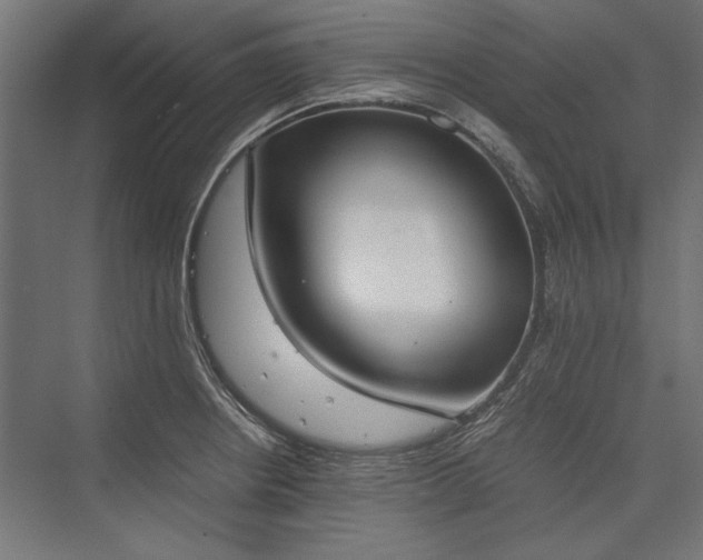 X0000076371234200610061050