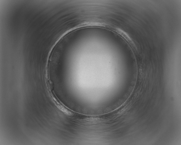 X0000076371236200610061050