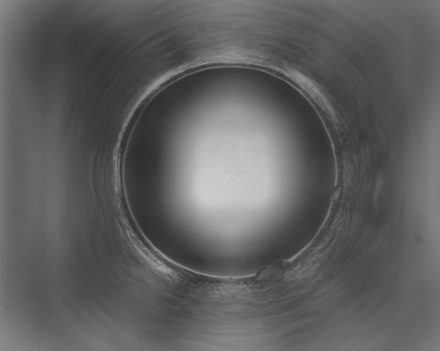 X0000076371238200610061050