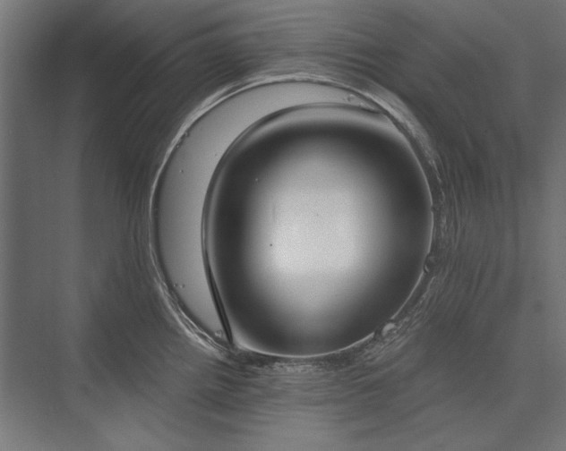 X0000076371242200610061050