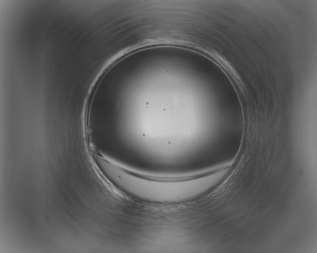X0000076371246200610061050