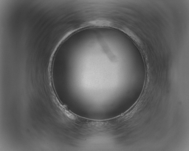 X0000076371248200610061050