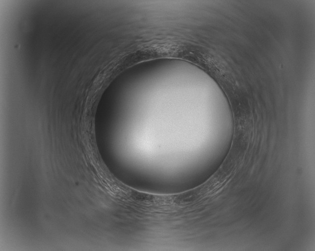 X0000076371249200610061049