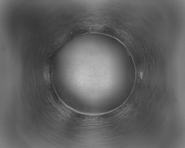 X0000076371252200610061049