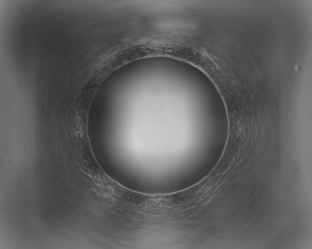 X0000076371253200610061049