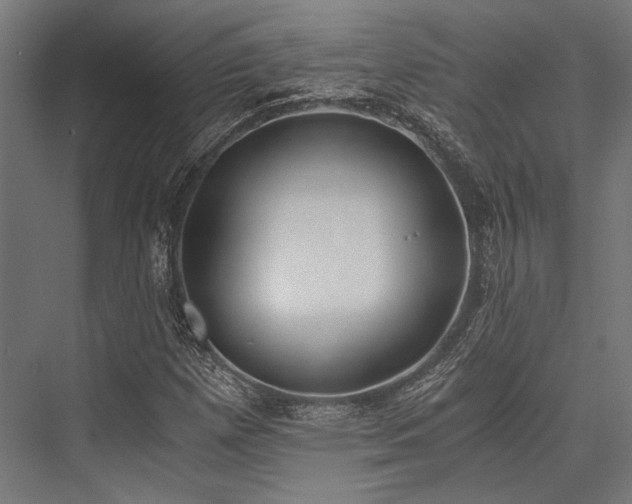 X0000076371257200610061049