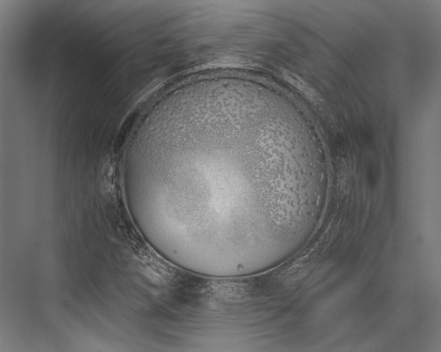 X0000076371258200610061049