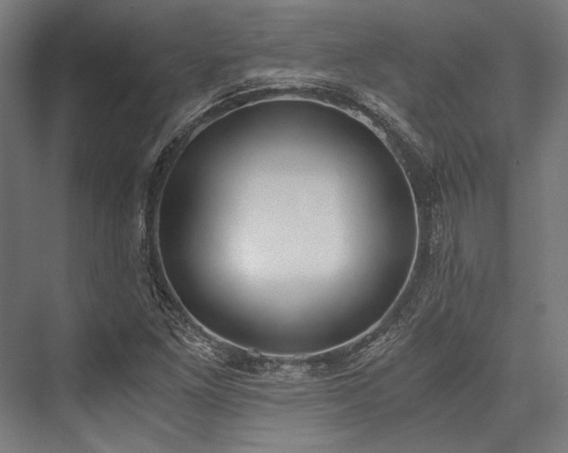 X0000076371261200610061049