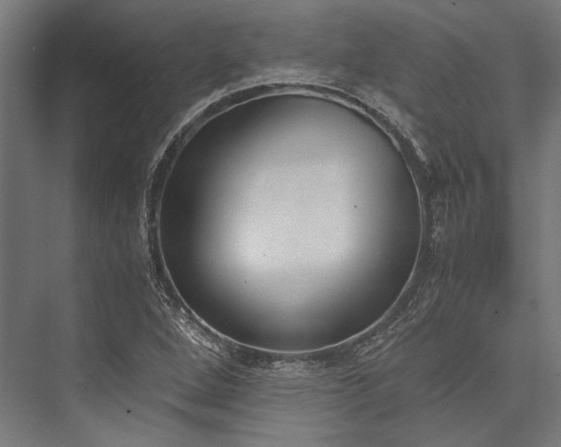 X0000076371264200610061049