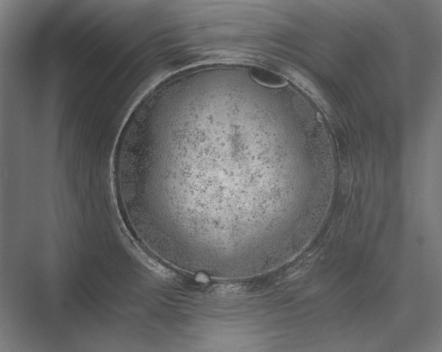 X0000076371283200610061049