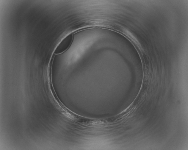 X0000076371291200610061048