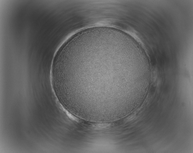 X0000076371294200610061048