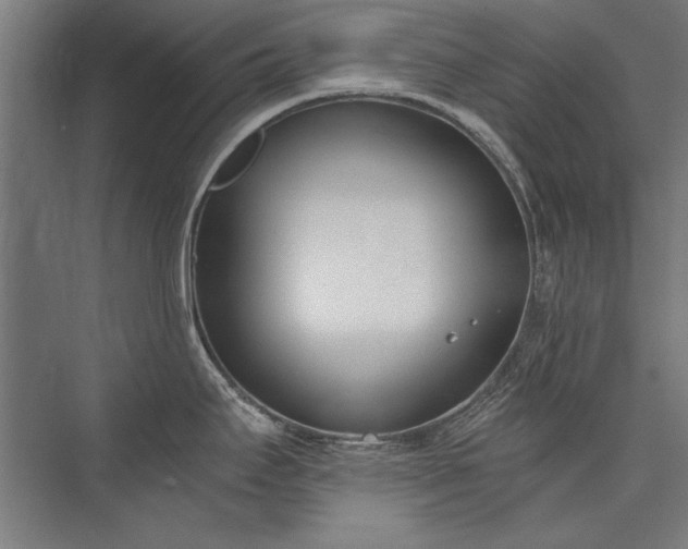 X0000076371295200610061048