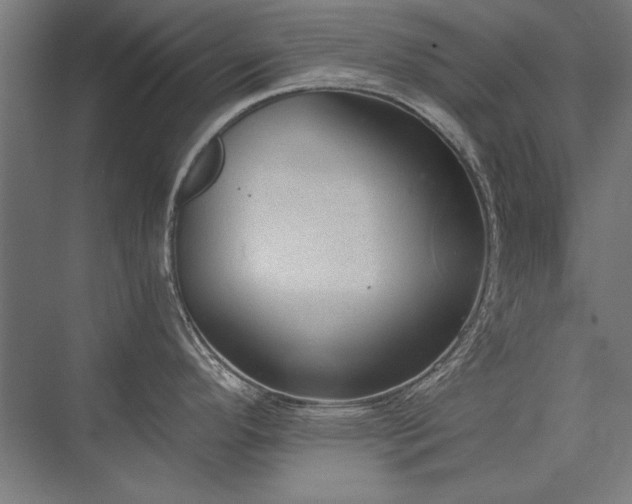 X0000076371296200610061048