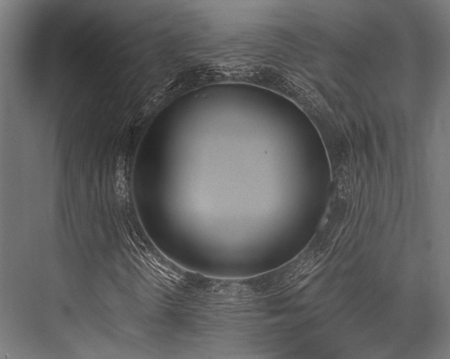 X0000076371298200610061048