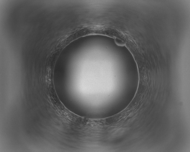 X0000076371301200610061048