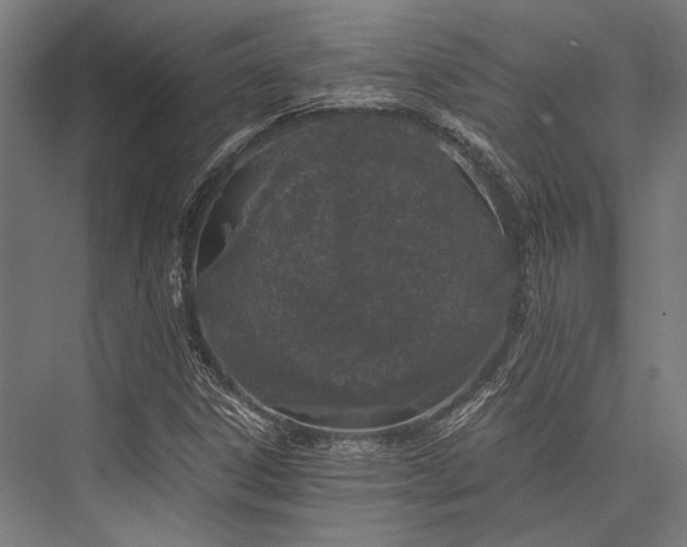 X0000076371306200610061048