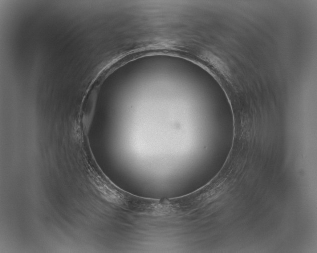 X0000076371308200610061048
