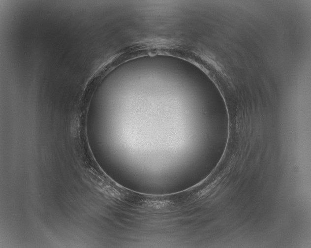 X0000076371309200610061048