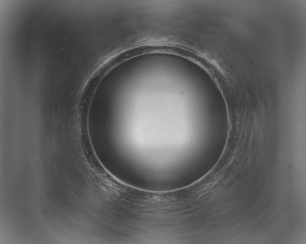 X0000076371311200610061048