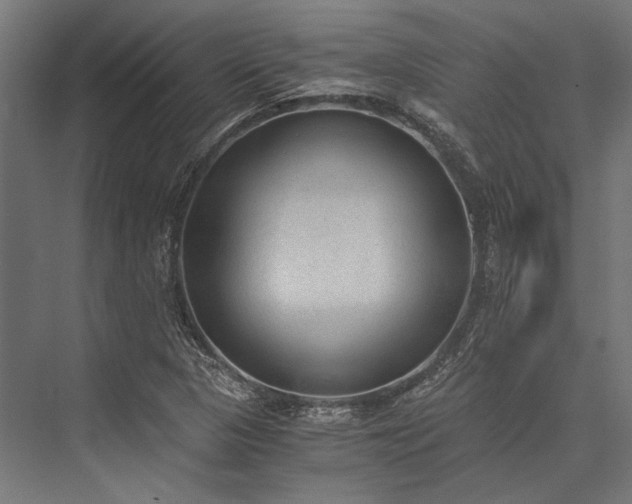 X0000076371313200610061048