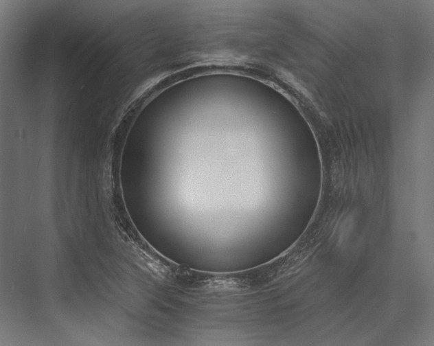 X0000076371315200610061048
