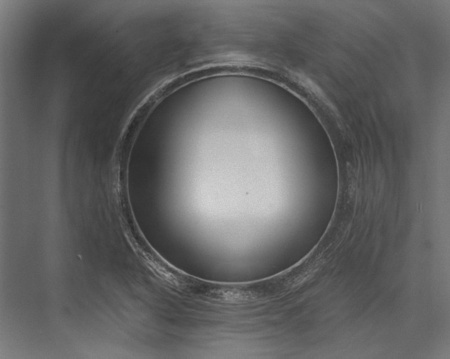 X0000076371318200610061048