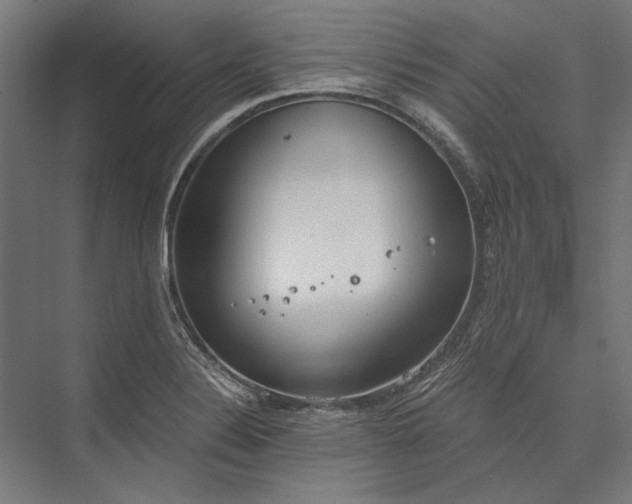 X0000076371324200610061048