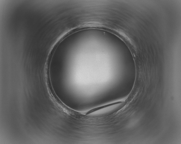 X0000076371325200610061048