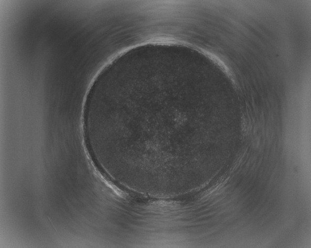 X0000076371327200610061048