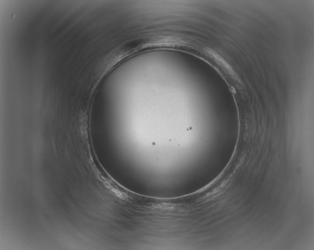 X0000076371329200610061048