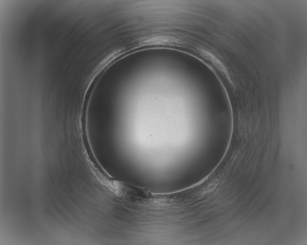 X0000076371330200610061048